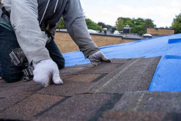 Best Storm Damage Roof Repair  in Cedar Bluff, AL
